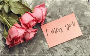 Miss You